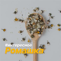 Интересное о Ромашке